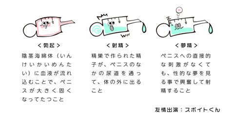 夢精 方法|夢精とは？ 意味をやさしく解説